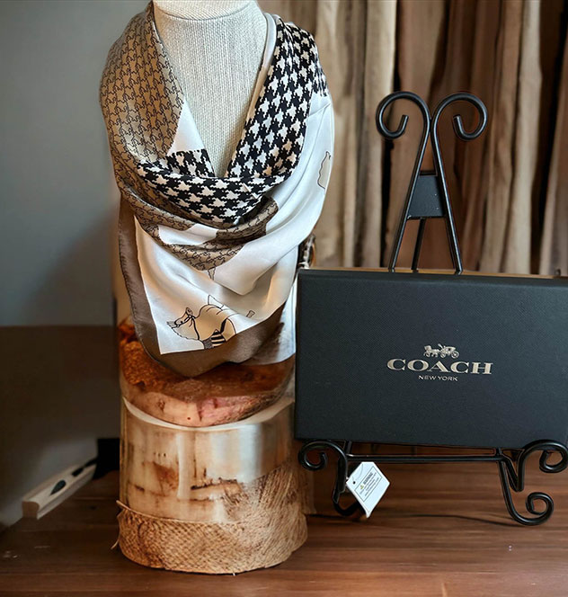 Coach Silk Scarf with Box